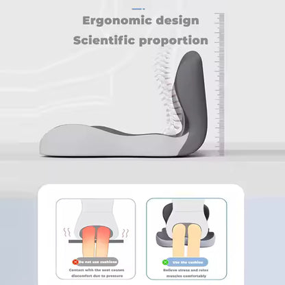 Ergonomisch Zitkussen met Rugleuning - Heup & Rugcomfort